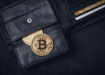 Number of small Bitcoin holders hits a record high as sidelined investors buy the dip