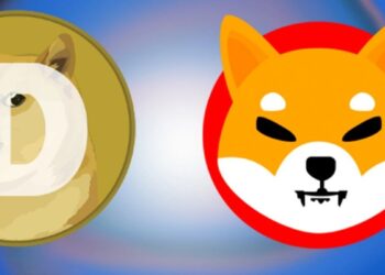 Former US Congressional Candidate Publicly Supports Dogecoin And Shiba Inu