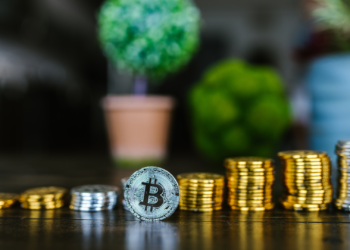 Rocketize Token, Baby DogeCoin, and Shiba Predator: These Meme Coins Will Help You Circumvent the Adverse Effects of The Bear Market