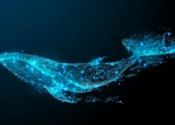 Whales Are Eyeing These Altcoins Amidst Recent Crypto Market Crash