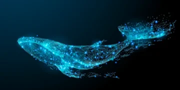 Whales Are Eyeing These Altcoins Amidst Recent Crypto Market Crash