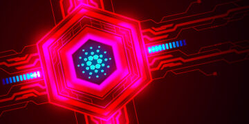 Cardano Backer Inks Wine Industry Deal for Development of Blockchain-Based Track-and-Trace System