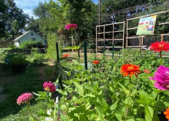 Jovial Family Farm in Broad Ripple helps feed seniors