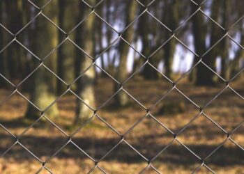 Chainlink’s going green, but will LINK follow its suit too