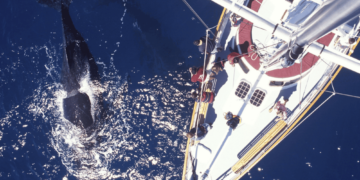 Uniswap: Why Ethereum whales are not the agents needed for a ‘twist of fate’