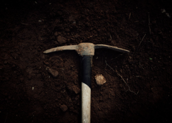 Bitcoin ($BTC), Litecoin ($LTC) – Multitoken Cryptocurrency Systems Like This One Could Prove More Resilient Than Single Token Alternatives For Miners