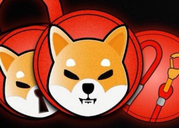 Cryptocurrency price today: Ethereum, Shiba Inu, Polygon, and Cardano slip over 7% as crypto markets in deep red