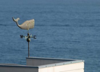 Cardano (ADA) Price Prediction 2025-2030: Is $6.5 too high a target for 2030?