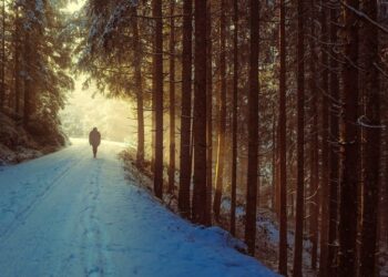 Polkadot [DOT]: A different kind of ‘hike’ on the cards means this for the alt’s price