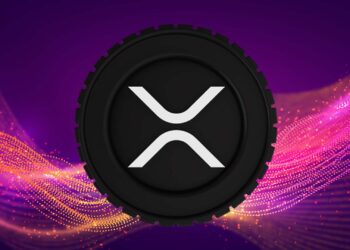 Ripple General Counsel on SEC’s Anticipations From the Lawsuit – The Coin Republic