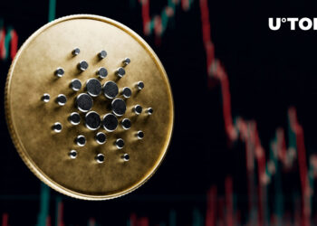 Cardano Investor Loses ADA Worth More Than $25 Million to Celsius Freeze