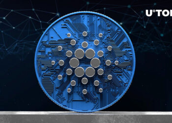 Here’s How Cardano Network Has Changed Since Vasil: Details