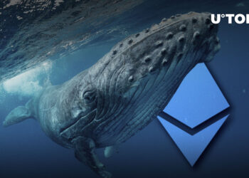 Large Ethereum Whales Add Whopping 3.5 Million ETH to Their Bags