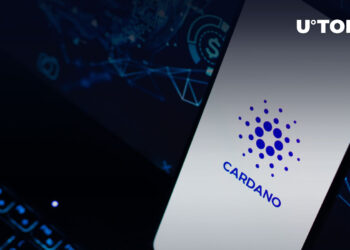 Cardano Ranks Among Top Blockchains in Active Developer Count: Details