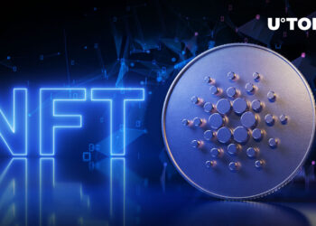 Cardano Breaks into Top 3 NFT Chains as 24-Hour Volume Jumps 132%