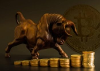 Cardano(ADA), Shiba Inu, Dogecoin Skyrocket