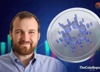 Not the Fault of Tornado Cash Developers, According to Cardano Founder – The Coin Republic