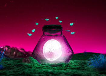 Top Crypto Analyst Warns Cardano Could Crash Further by Over 50%, Predicts What’s Next for Solana and Fantom