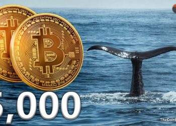Mysterious Bitcoin Whale Allocated Almost 5,000 BTC
