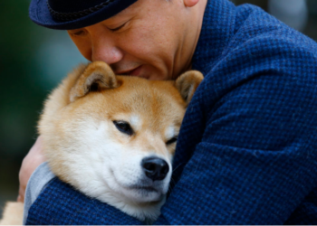Shiba Inu Welcomes More Than 100,000 Holders This Year