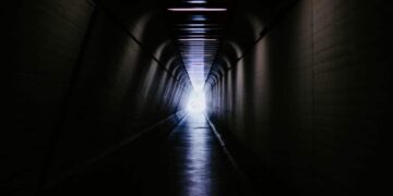 Litecoin’s whale transactions spike, but what could it mean for retailers