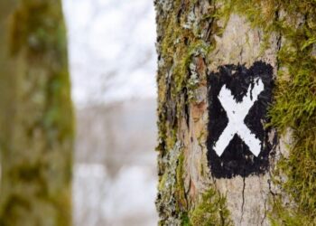 Ripple [XRP]: Before you become a part of exit liquidity, read this