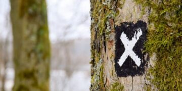 Ripple [XRP]: Before you become a part of exit liquidity, read this