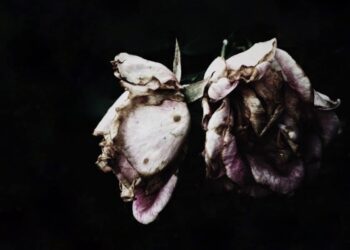 The how and why of OpenSea Ethereum’s latest performance stats