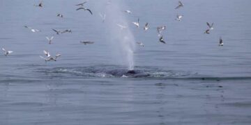 Bitcoin And Ethereum Coming In From The Cold (Technical Analysis)