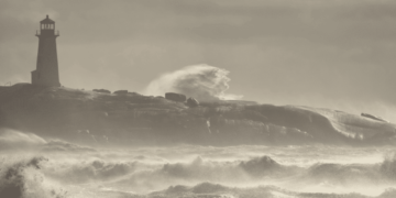 Ethereum Classic surges >6% amid Cardano founder’s mockery. Assessing…