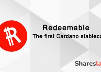 Shareslake deploys the first stablecoin of the Cardano ecosystem