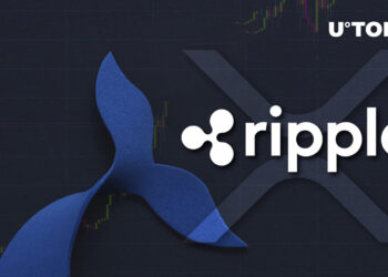288 Million XRP Wired by Ripple and Whales as XRP Briefly Rises 11.73%