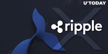 288 Million XRP Wired by Ripple and Whales as XRP Briefly Rises 11.73%