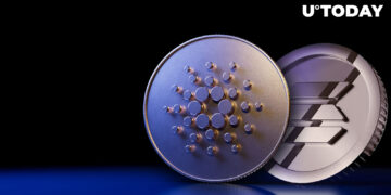 Did Solana’s Crash Make Room for Cardano in Race as “Ethereum Killer?”