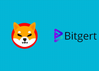 Bitgert Is Surpassing Dogecoin and Shiba Inu As The Payment Option