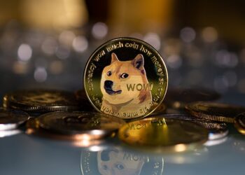 Dogecoin Remains Solid As Profitability Surpasses Bitcoin, Ethereum