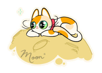 Dogecoin, Shiba Inu and Big Eyes Coin – Three Meme Coins to keep an eye on as Black Friday 2022 approaches