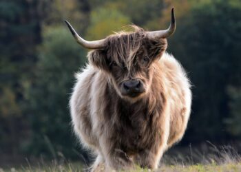 Litecoin (LTC) Leads Gains With Over 27% Increase In The Week