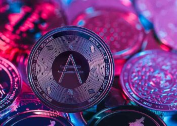 Number of Cardano smart contracts grows over 300% in 2022