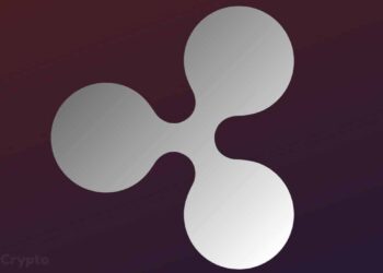Ripple’s Brad Garlinghouse Tells Where Crypto Market is Headed As XRP Lawsuit Heads For Conclusion – ZyCrypto