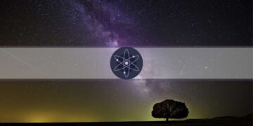 Cosmos Surpasses Cardano in GitHub Daily Development Activity