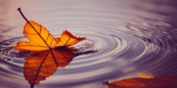 Ripple’s new collaboration may have this in store for NFT enthusiasts