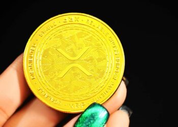 Going long on XRP? Here is what you should know before you jump in