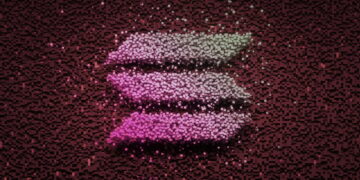 Solana Founders Rally Supporters as SOL Falls 57% Amid FTX Collapse