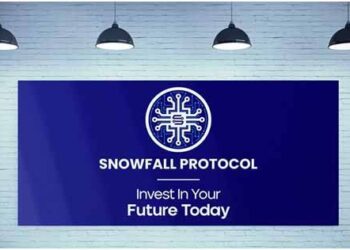 Crypto Score Card: Snowfall Protocol (SNW) leading with 600% gains; Binance (BNB) and Dogecoin (DOGE) prices fall