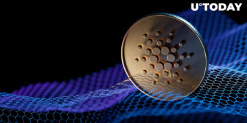 Cardano Network 8 Times More Decentralized Than Ethereum, Here Are Details