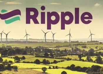 Energy bills: Britons save an eye-watering 100k after buying their own windfarm | Science | News