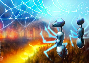 Decentralized solutions for climate change are key as COP disappoints