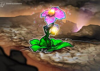 Crypto hotspots continue to thrive despite FTX collapse