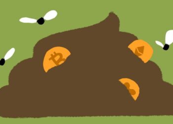 What this year in crypto has taught us